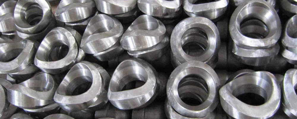 Duplex Steel S31803 / S32205 Olets Duplex Steel S31803 / S32205 Olets