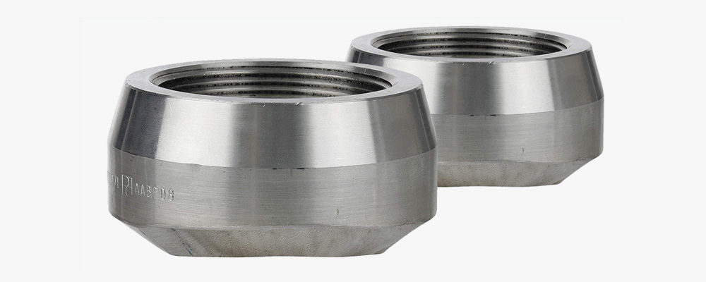 Stainless Steel 304L Olets Stainless Steel 304L Olets