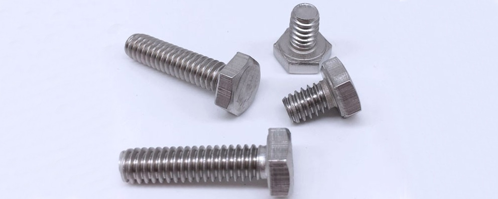 Stainless Steel 316 / 316L / 316Ti Fasteners Stainless Steel 316 / 316L / 316Ti Fasteners