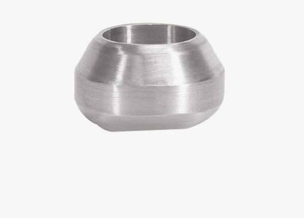 Hastelloy C22 Weldolet